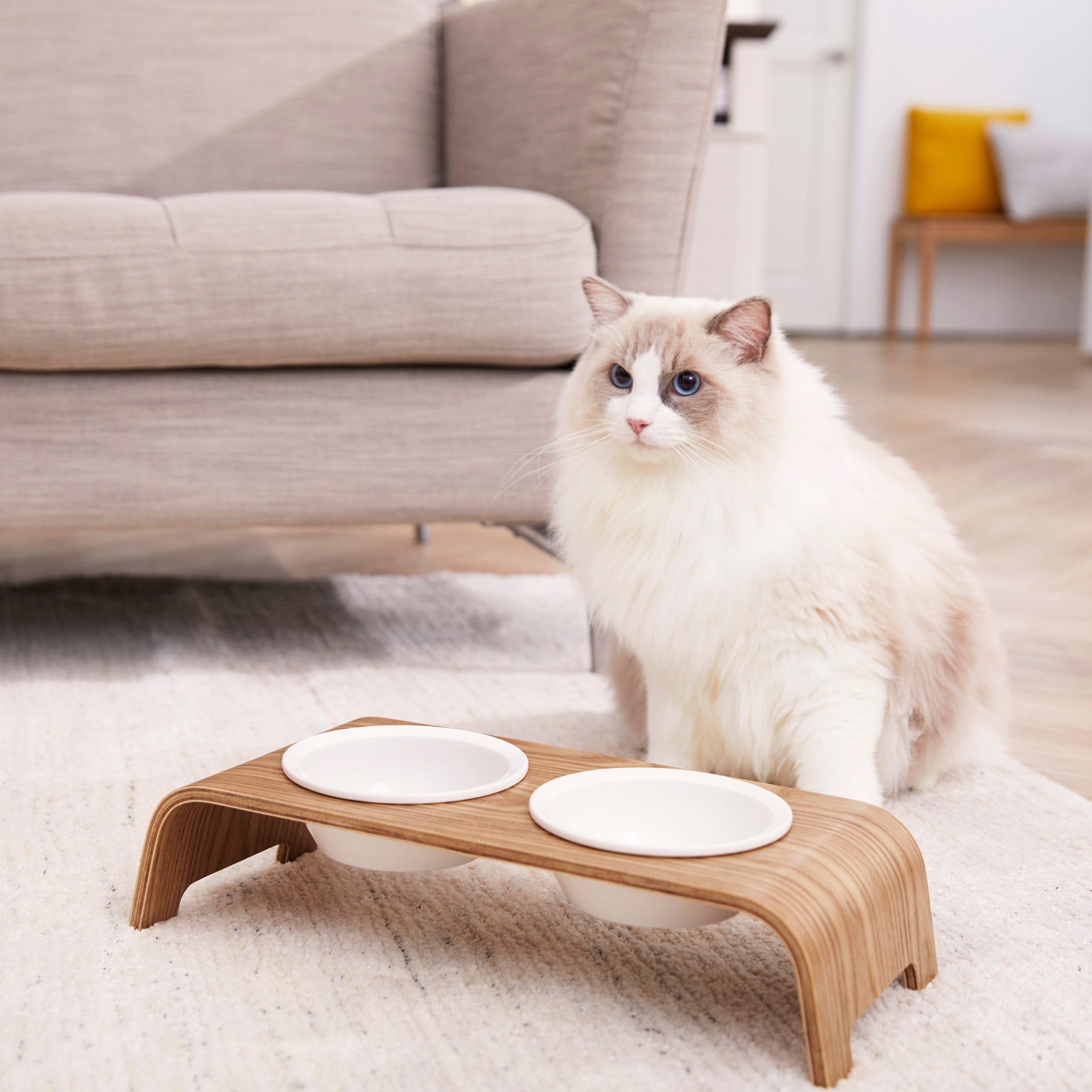 A fluffy white and beige cat sits in front of a bamboo finished cat feeder with two white bowls.