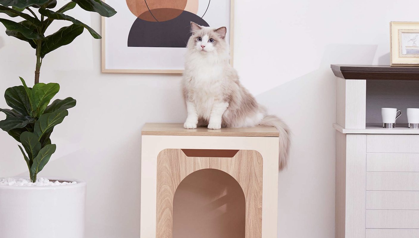 A cat happily sits on top of her litter box enclosure side table